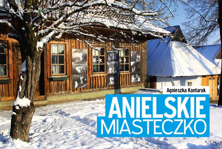Losowy darmowy artykuł